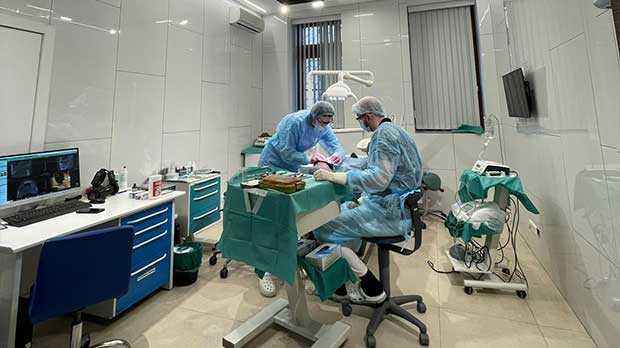 Имплантация зубов в клинике «Имплантмастер» бюджетными или премиальными имплантами